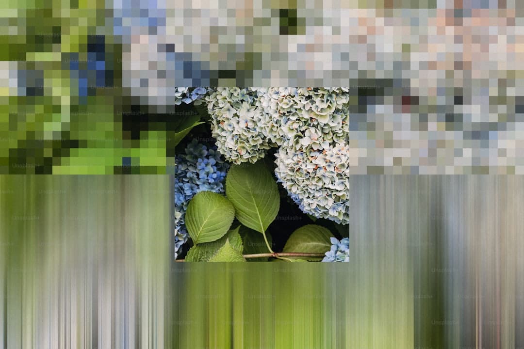 黄杨钿甜天价耳环事情:女星宗族涉贪200万珠宝内情